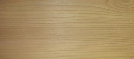 Elm (european)
