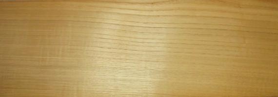 Chestnut