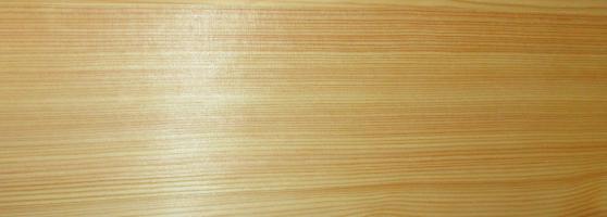 Larch