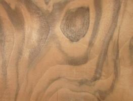 Walnut Burl