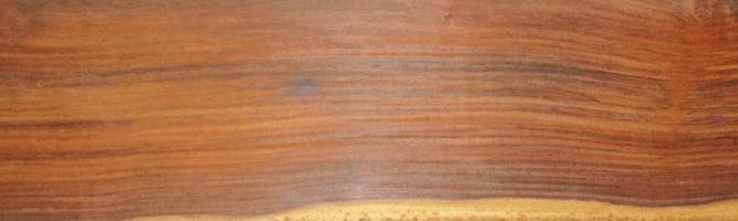 Rosewood (Coral)