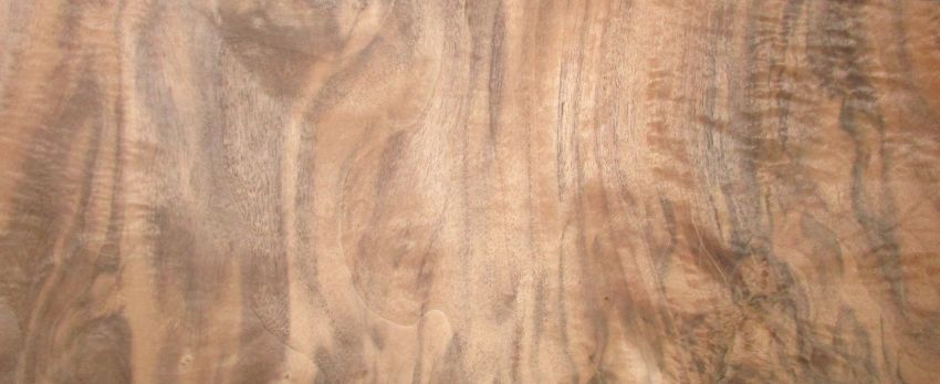 Walnut Burl Veneer