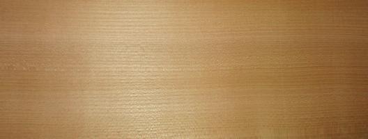 Elm european veneer