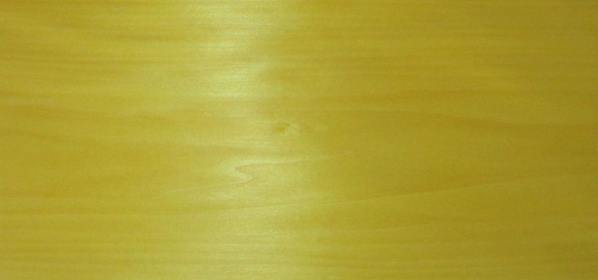 Poplar yellow veneer