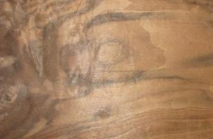 Walnut Burl veneer