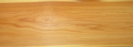 Yew-tree veneer
