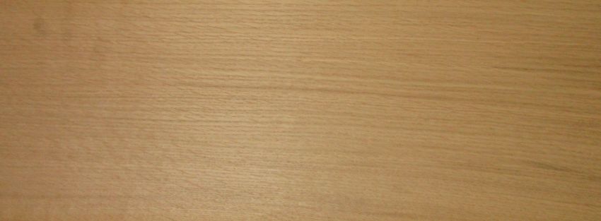 Oak (european) veneer