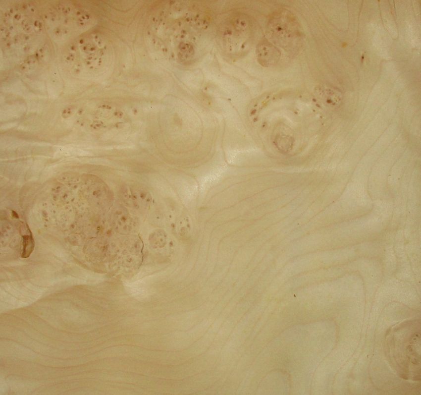 Sycomore burl veneer