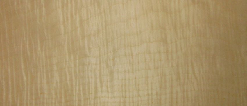 Sycomore figured veneer