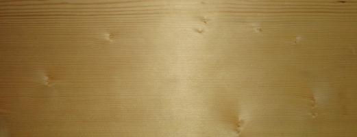 Spruce veneer
