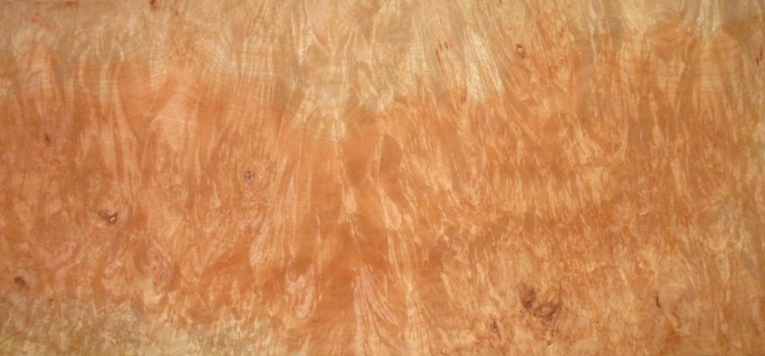 Sycomore burl veneer