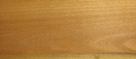 Walnut sapwood veneer