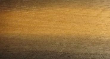 Oak - bog Oak veneer