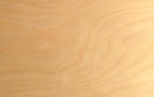 Birch (peeled) veneer