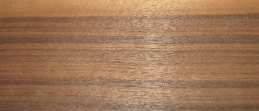 Walnut (american) veneer