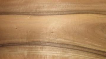 Walnut (american) veneer