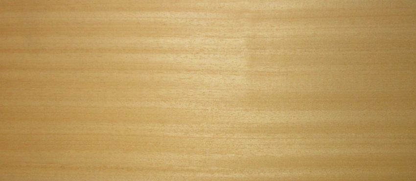 Abachi veneer