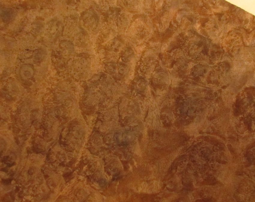 neue Ware 1310 Nußbaum Wurzelholz Maser Furnier Top 600 x 130 mm 