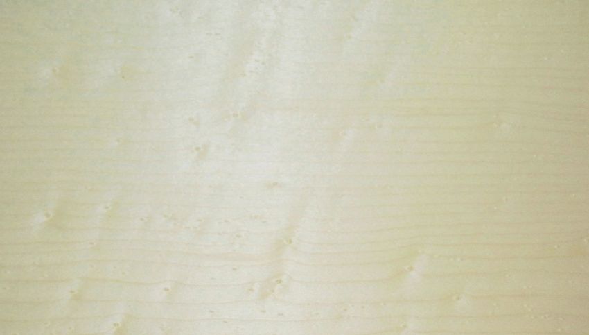 Sycomore (europ. Maple) veneer