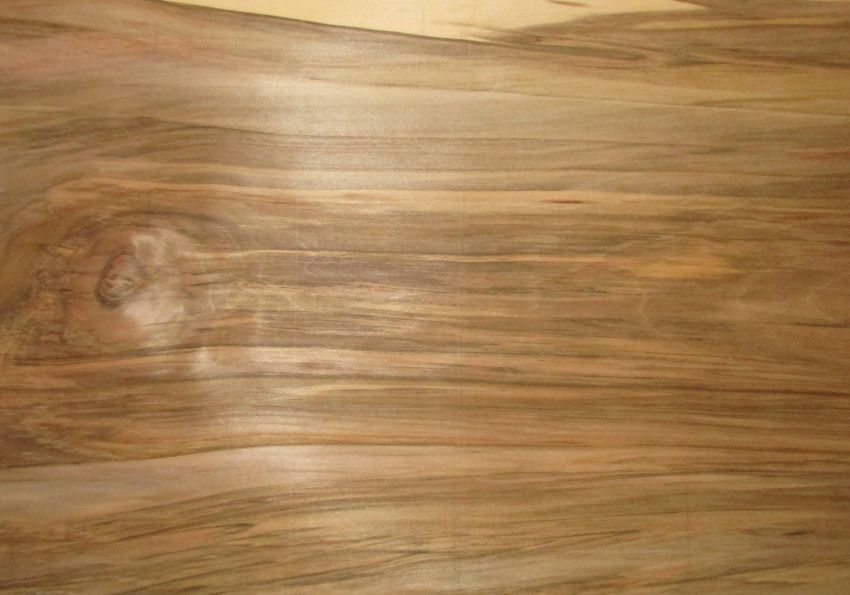 Walnut Satin (Satinwalnut) veneer