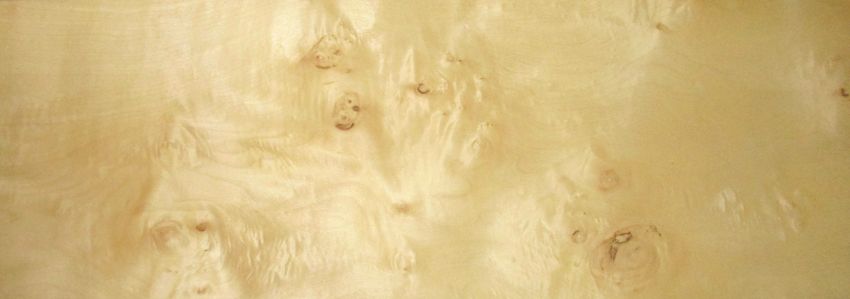 Sycomore (knotty) veneer