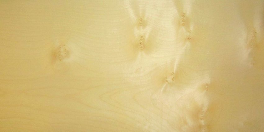 Sycomore (knotty) veneer