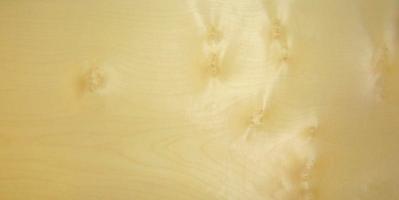 Sycomore (knotty) veneer