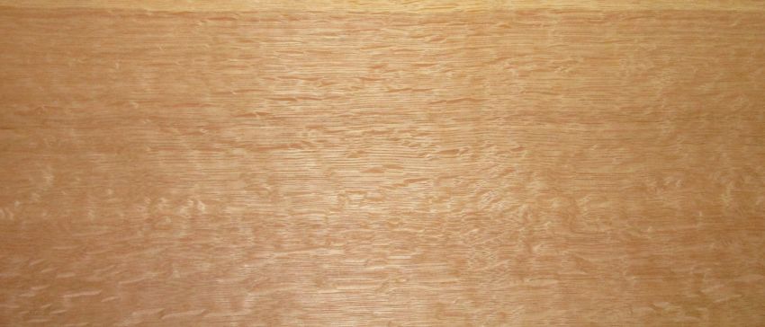 Oak (european) veneer