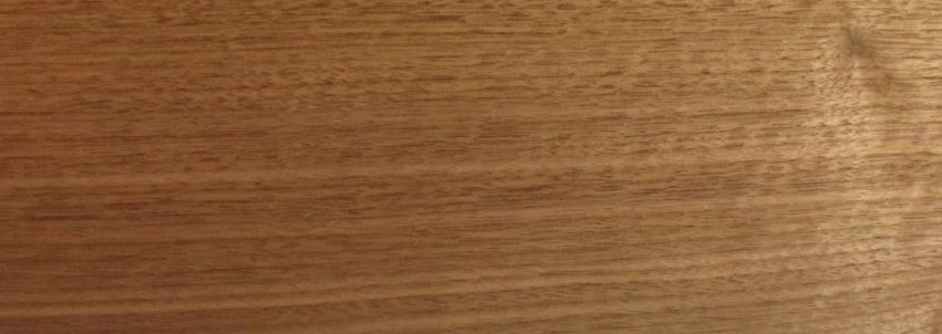 Walnut (american) veneer