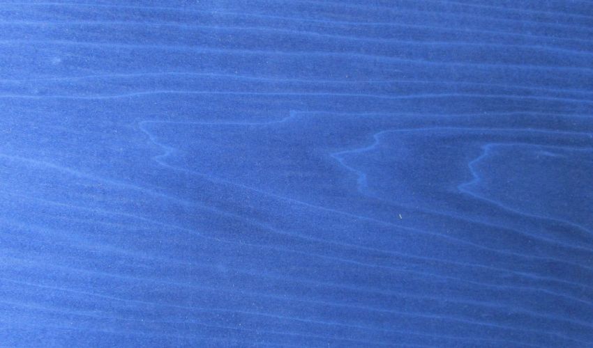 Pappel blau Furnier