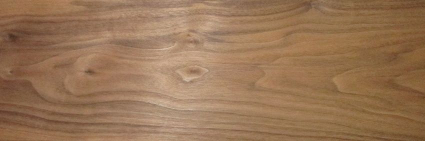 Walnut (Black Walnut) veneer
