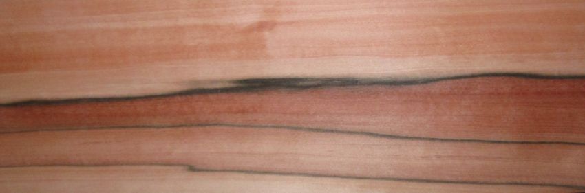Apfel Indisch (Tineo) Furnier