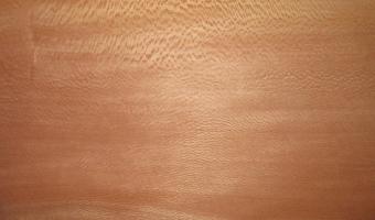 Plane tree veneer