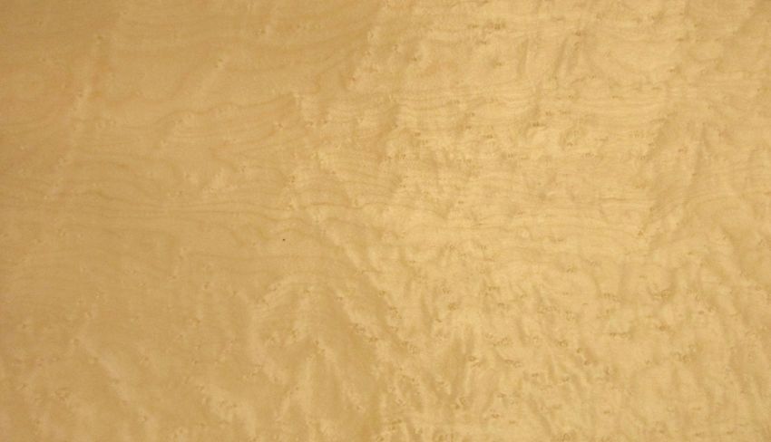Maple (Birdseye Maple) veneer