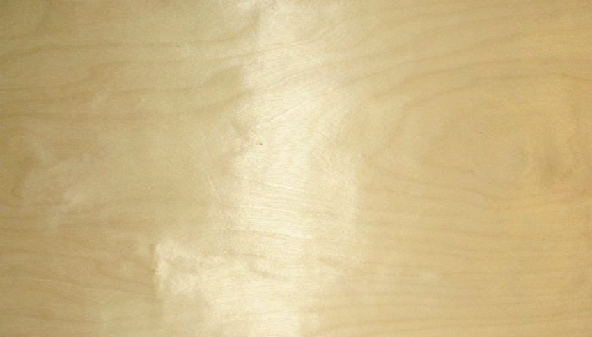 Birch (peeled) veneer