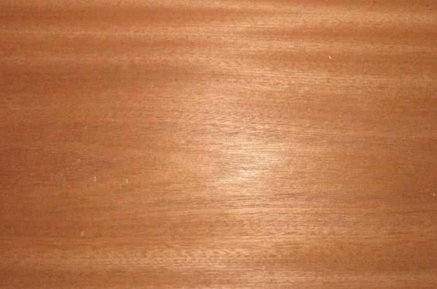 Mahogany veneer