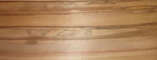 Walnut Satin (Satinwalnut) veneer