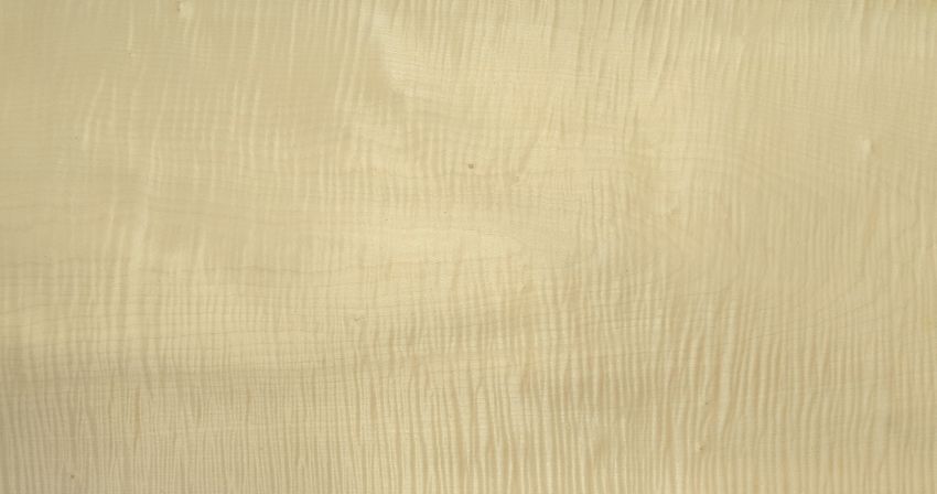 Sycomore figured veneer