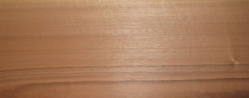 Walnut (european) veneer