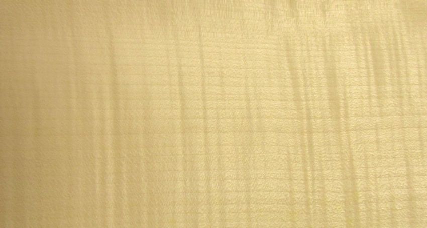 Sycomore figured veneer