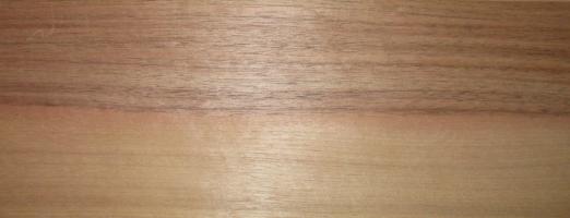 Walnut (european) veneer