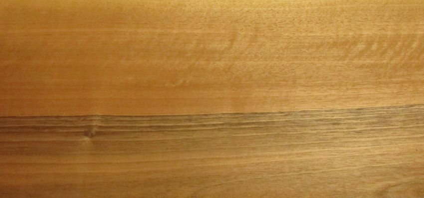 Walnut (european) veneer