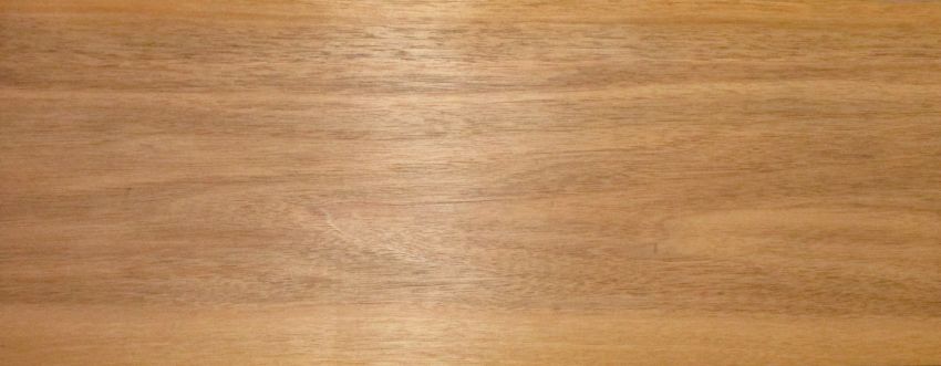 Walnut (european) veneer