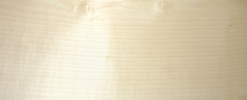Sycomore (europ. Maple) veneer