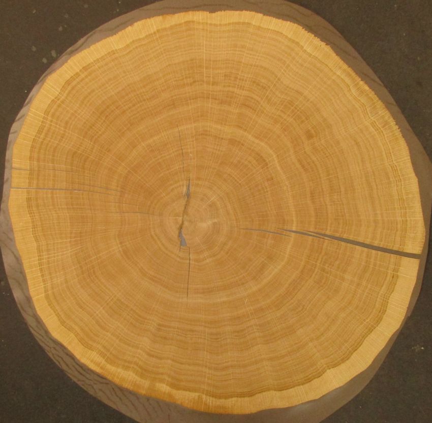 Eiche Hirnholz Furnier