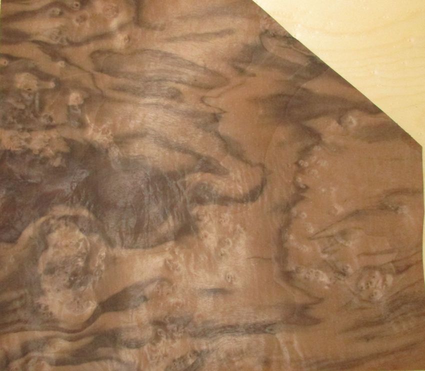 Nussbaum Maser (Wurzelholz) Furnier
