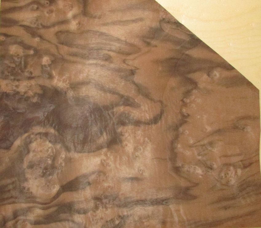 Walnut Burl veneer