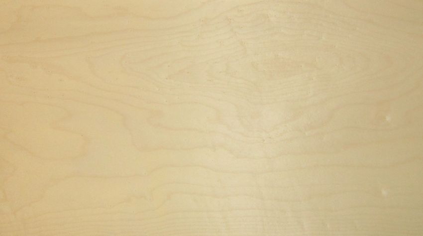 Sycomore (europ. Maple) veneer