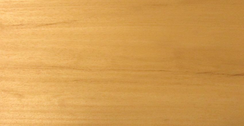 Abachi veneer