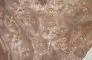 Walnut Burl veneer